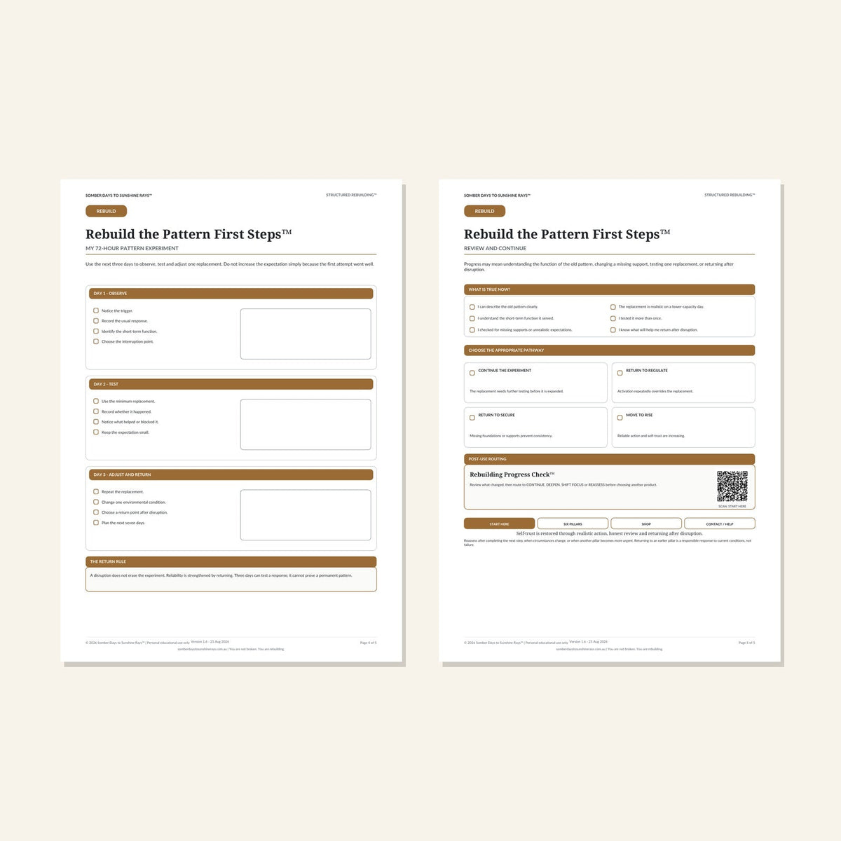 Rebuild the Pattern First Steps™ plan and progress pages 4 and 5 preview