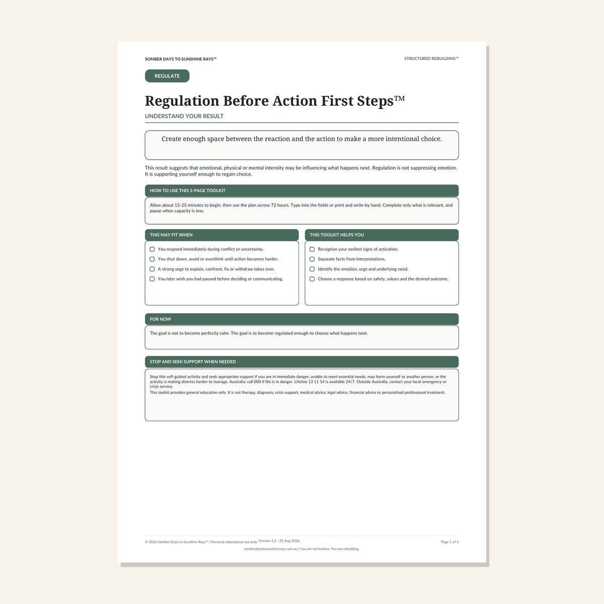 Regulation Before Action First Steps™ product cover preview