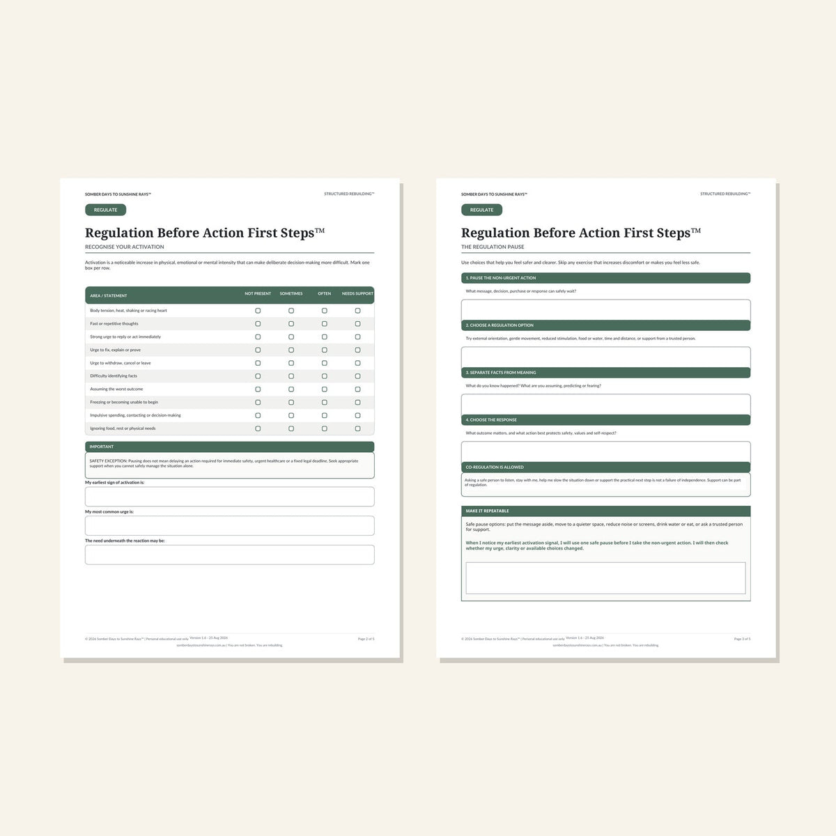 Regulation Before Action First Steps™ inside pages 2 and 3 preview