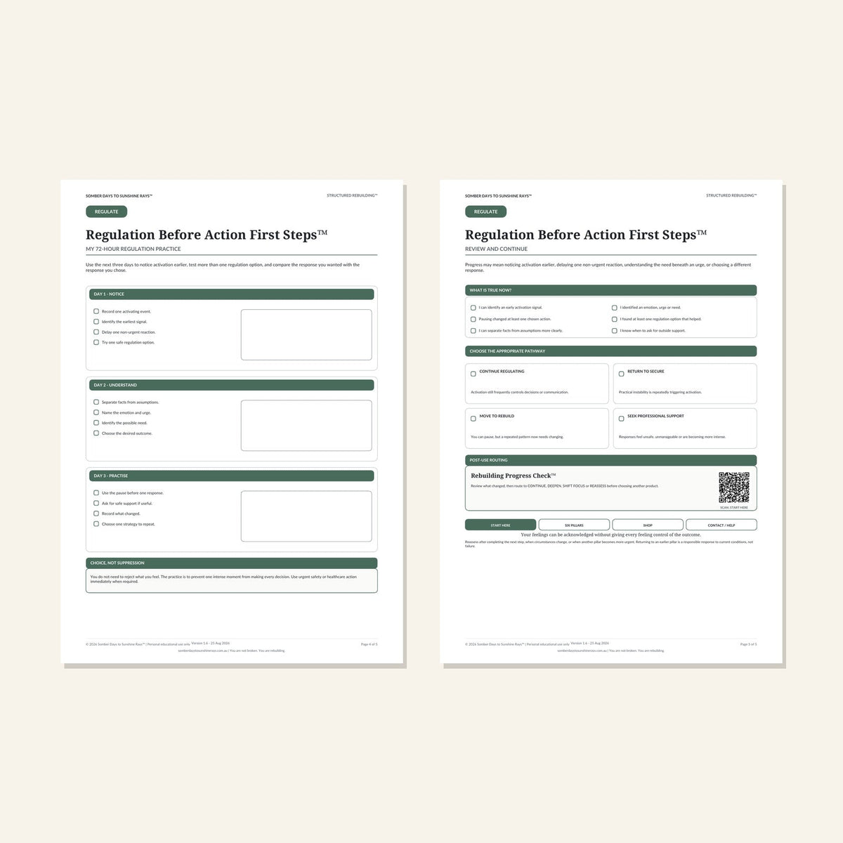 Regulation Before Action First Steps™ plan and progress pages 4 and 5 preview