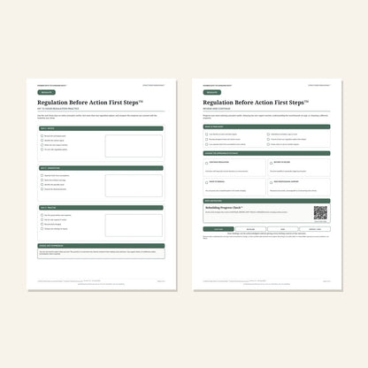 Regulation Before Action First Steps™ plan and progress pages 4 and 5 preview