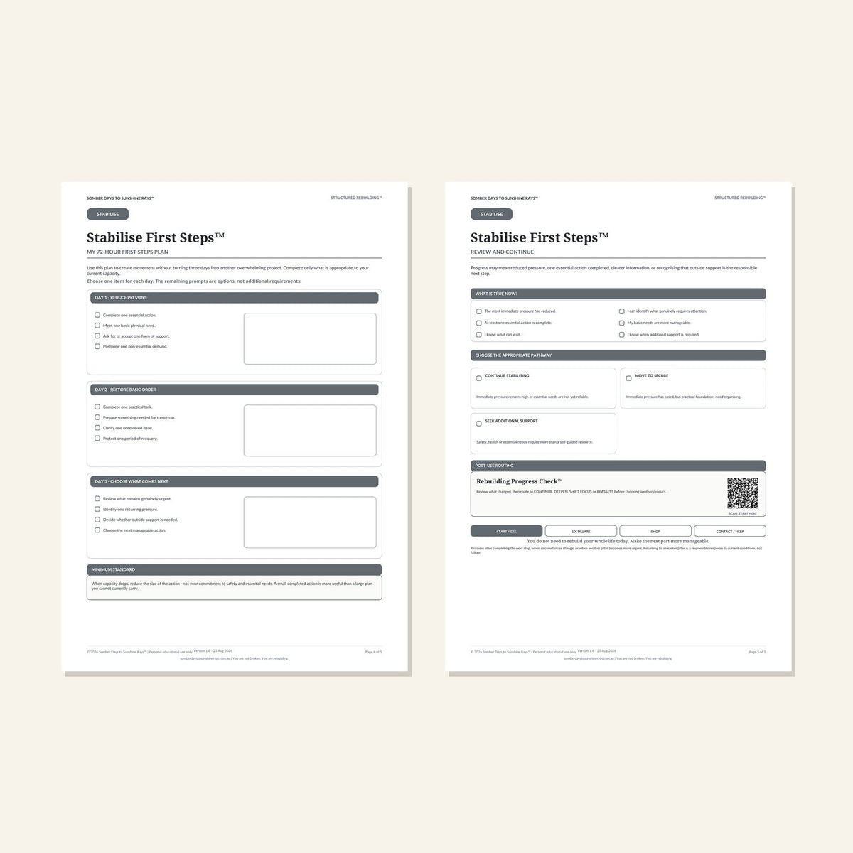 Stabilise First Steps™ plan and progress pages 4 and 5 preview